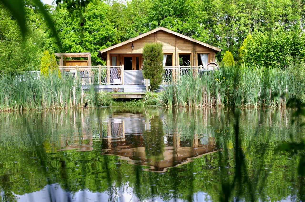 View from the pond 