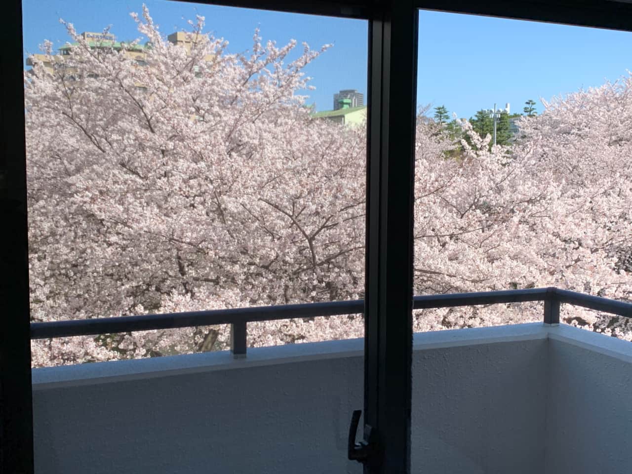 Tokyo Family Stays Nakameguro Riverside Sakura Views
