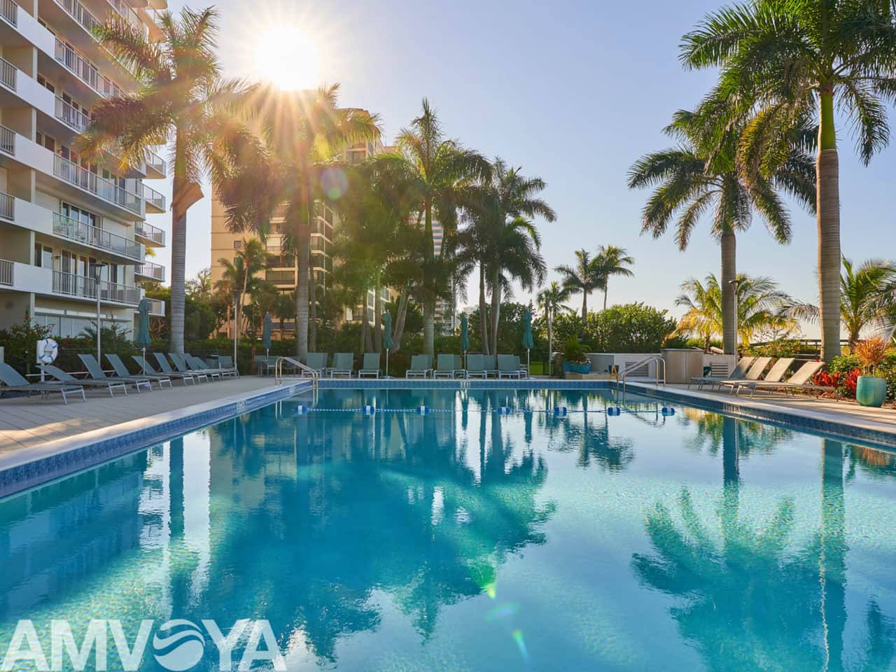 Sunrise at the Pool