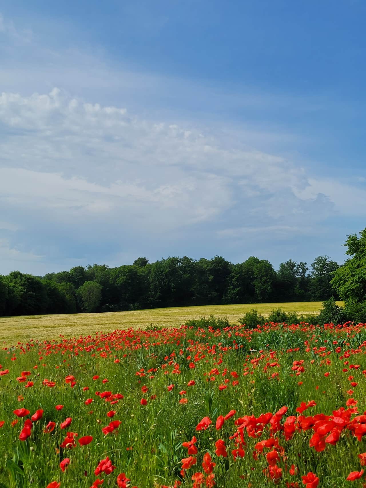 Gite Normandie au coeur de la forêt