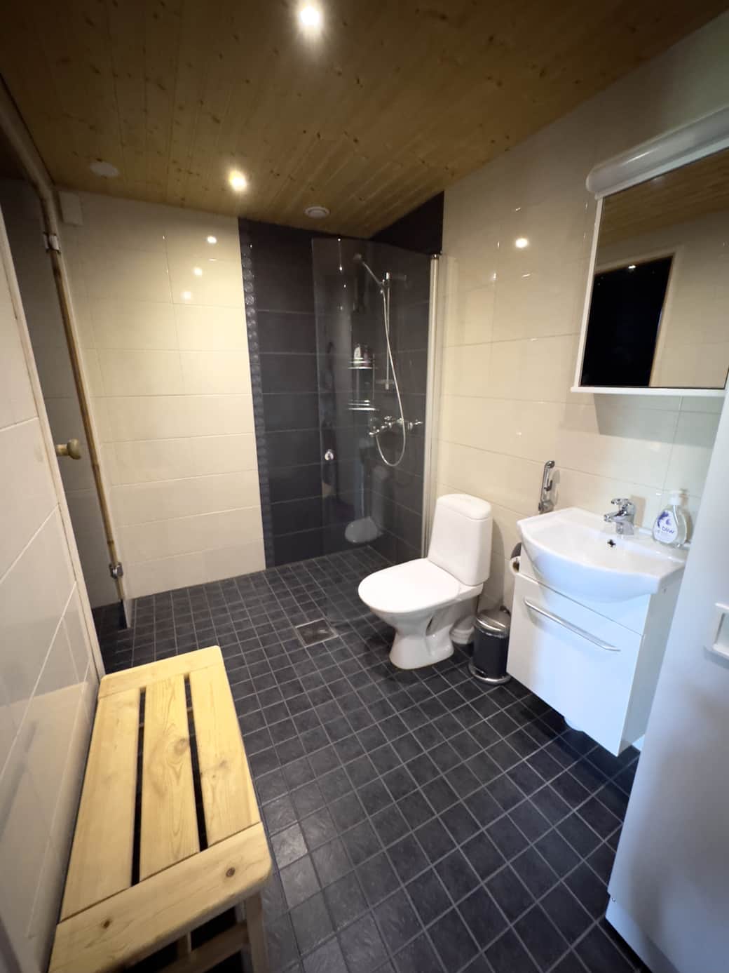Restroom with clothes drying cabinet. Entrance to sauna. Restroom with clothes drying cabinet. Entrance to sauna.