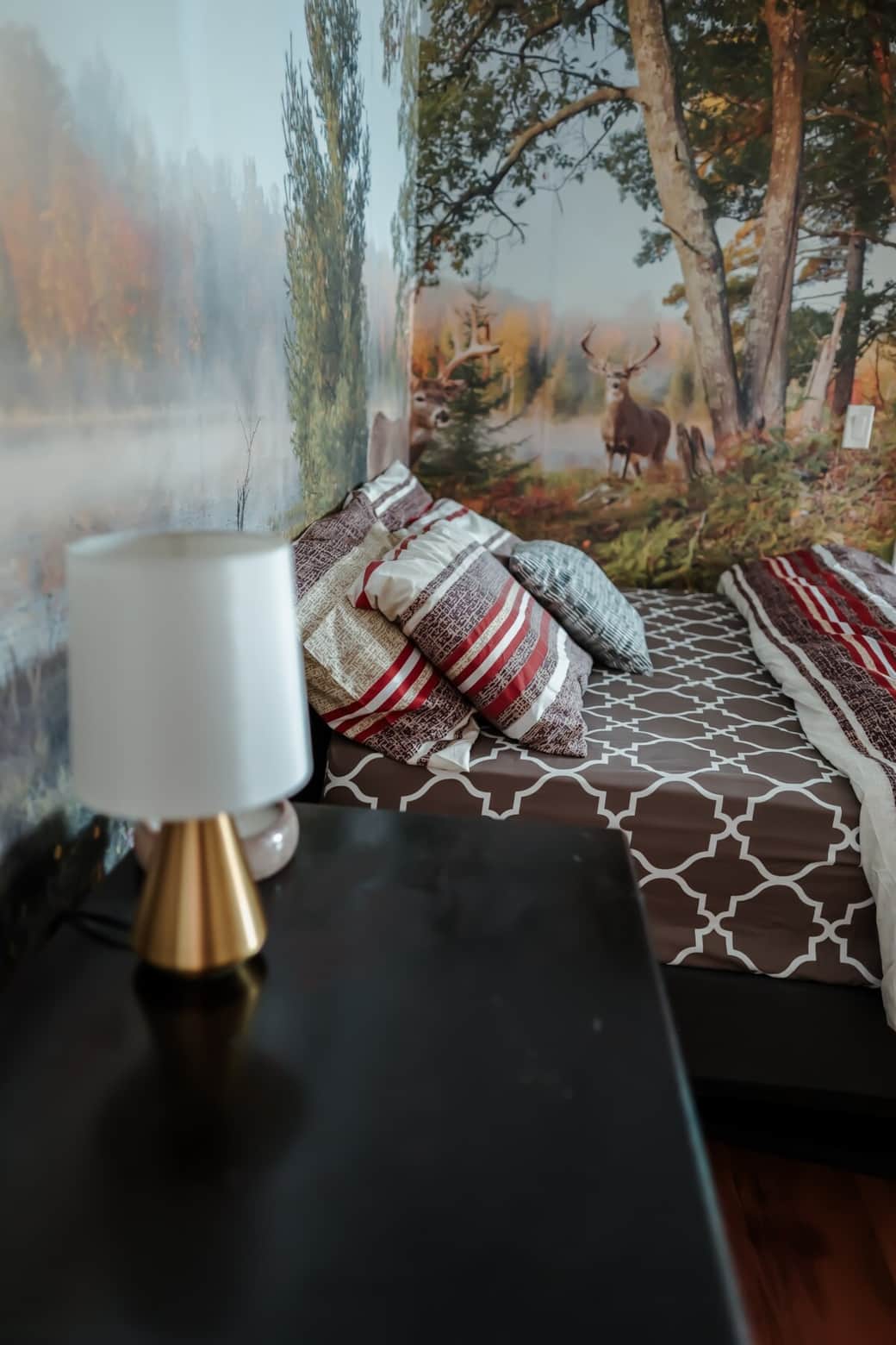 Lake view room. Wall art. Private TV