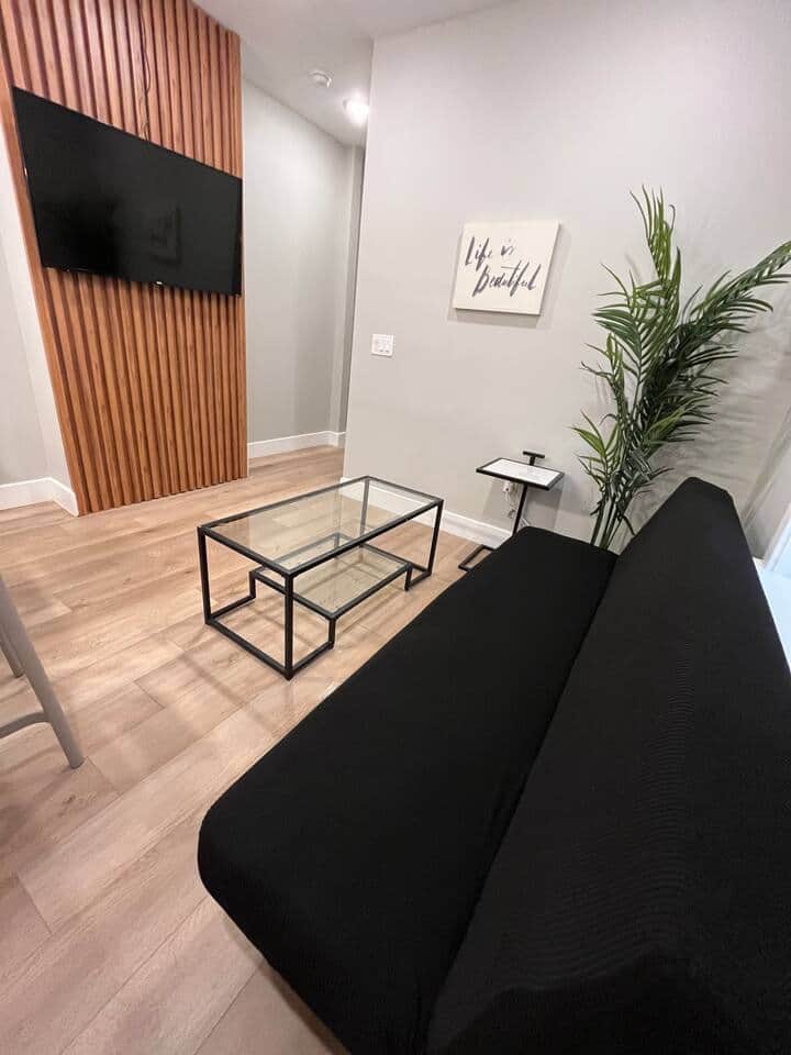 Living room with futon sofa bed and flat screen tv.