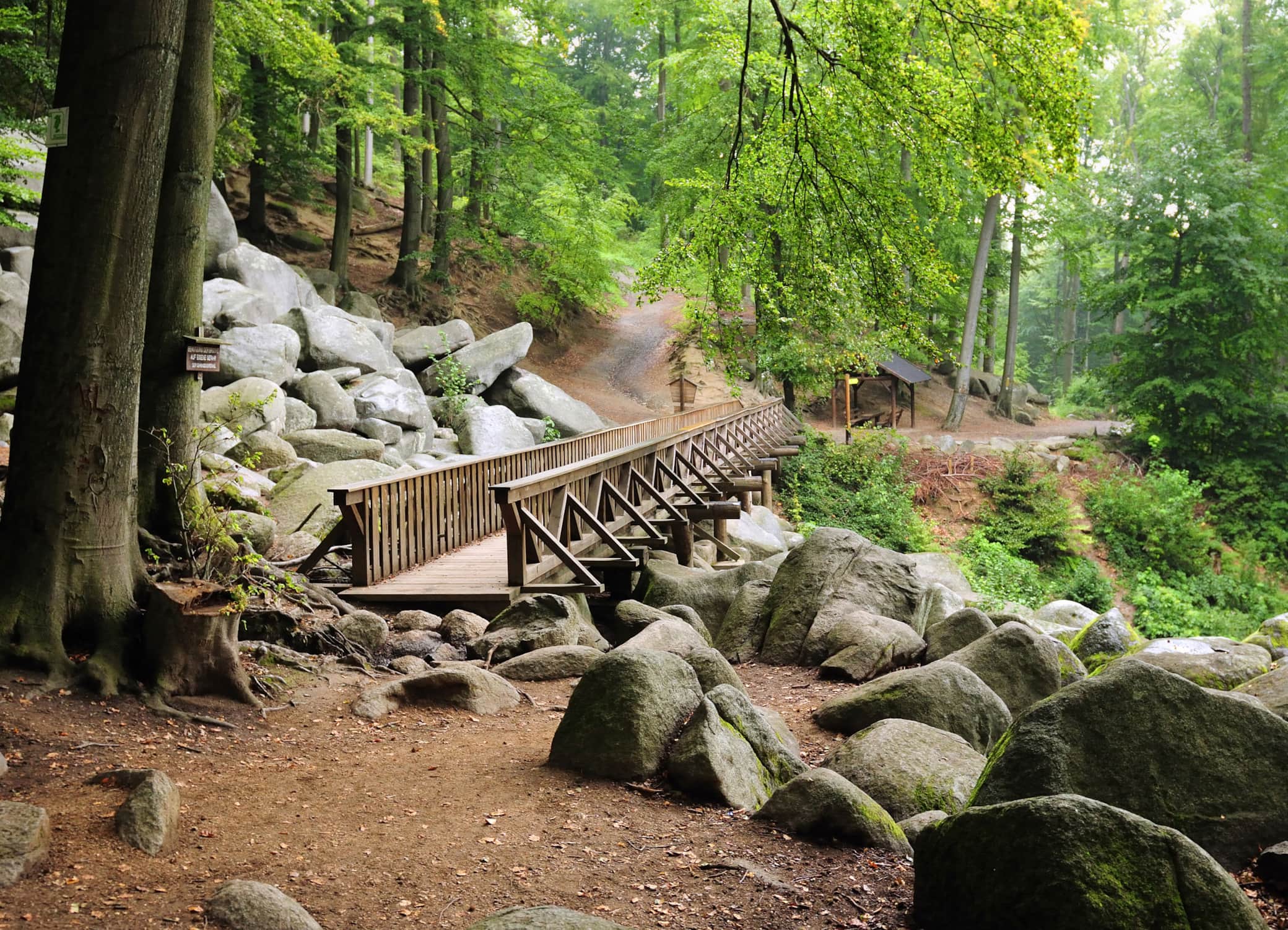Felsenmeer Odenwald