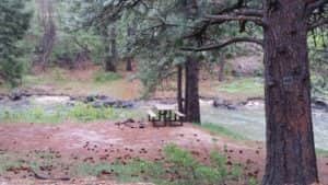 Campsite 40
