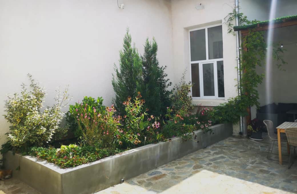 Villa 1931 Garden plants