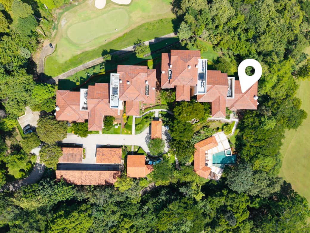 46 Jobo15guanamedia4 small