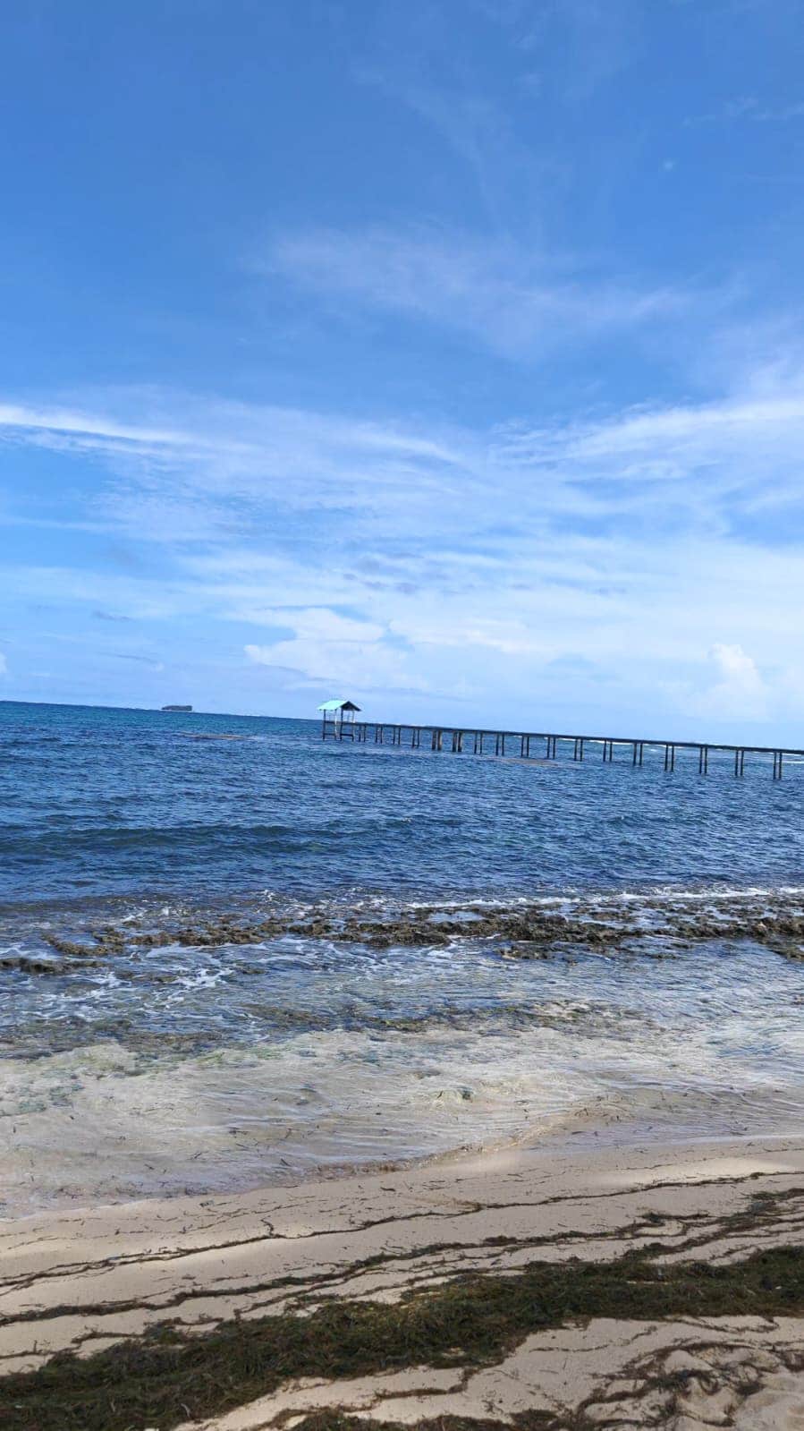 WhatsApp Image 2026-02-26 at 13.17