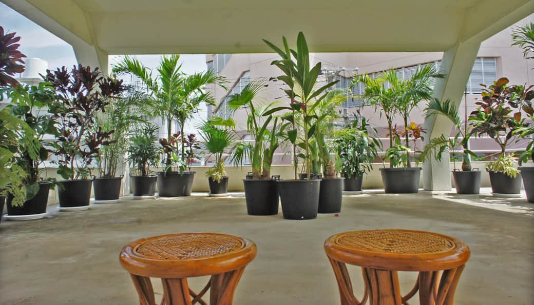 kitchen, dining & lounge area kitchen, dining & lounge area
