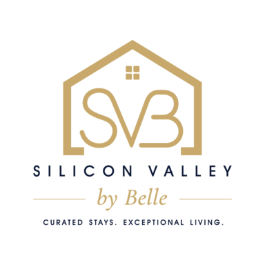 Silicon Valley by Belle