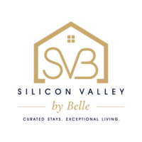 Silicon Valley by Belle