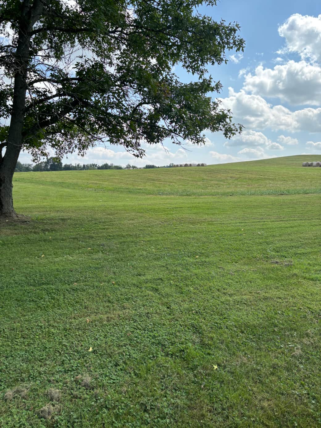Backyard has beautiful rolling hay fields Backyard has beautiful rolling hay fields