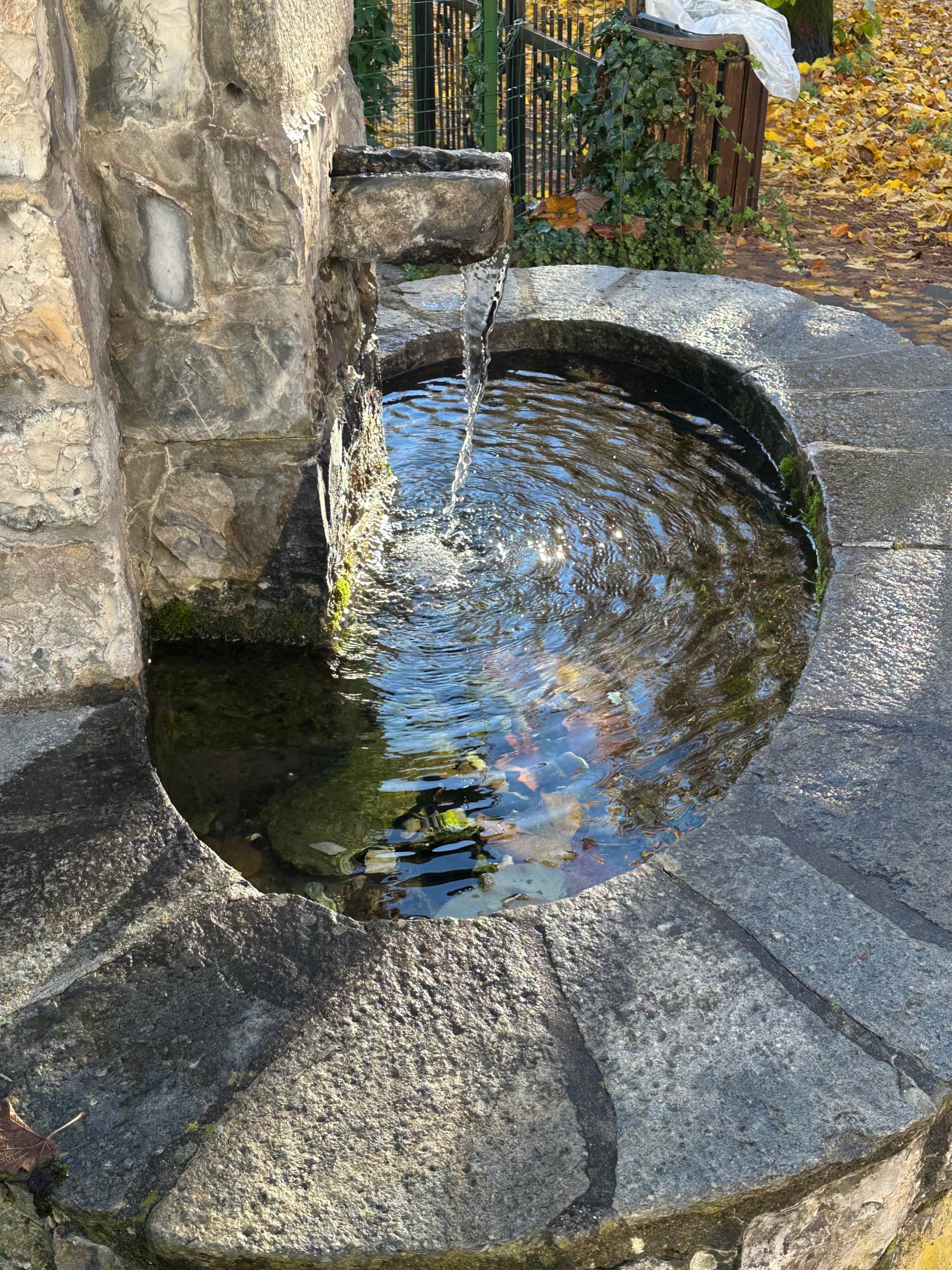 Fontana di Piazza Roma