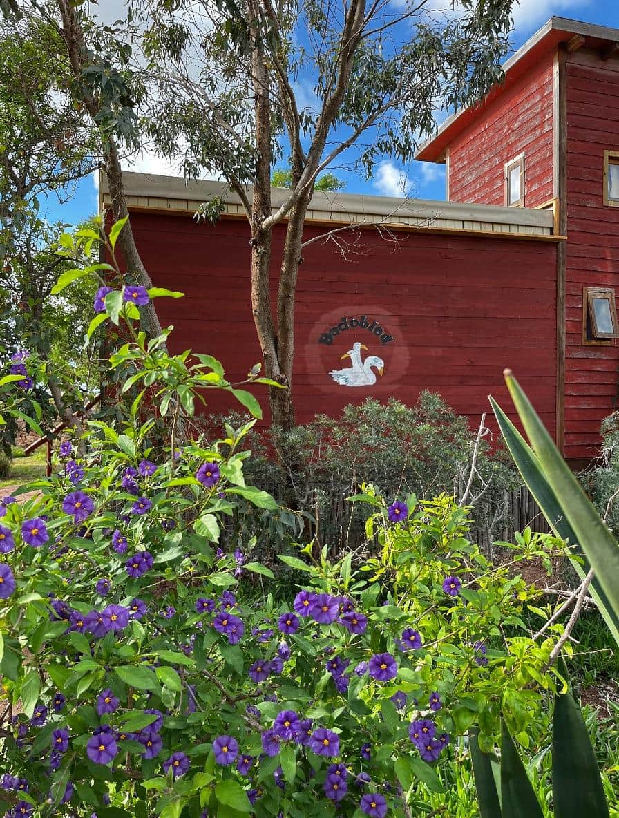 WhatsApp Image 2026-01-31 at 16.57