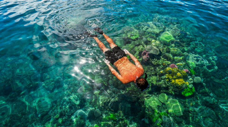 Snorkeler over a shallow reef