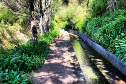 Levada Spaziergänge