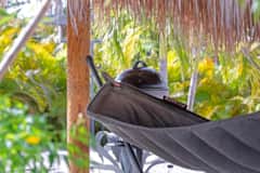 Palm Villa – Hangmat in de tropische tuin