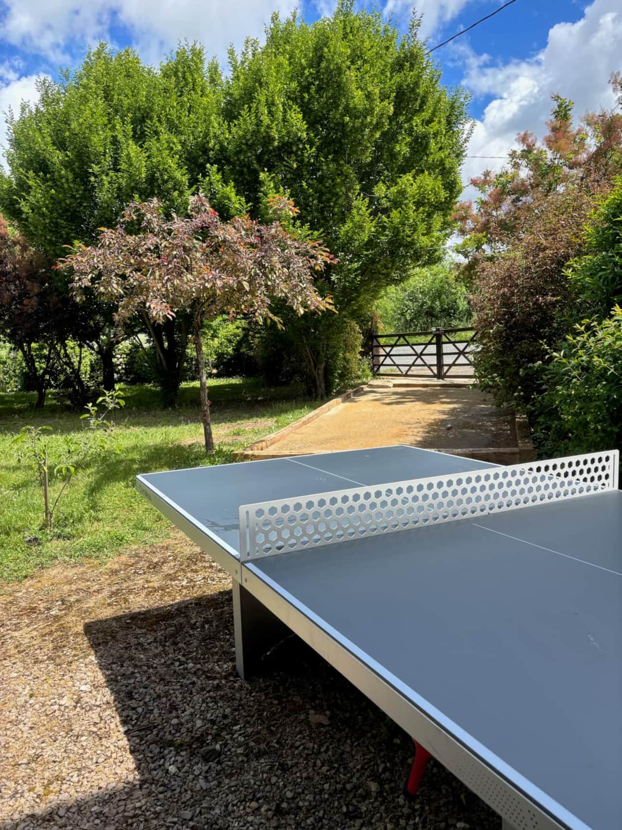 ping pong