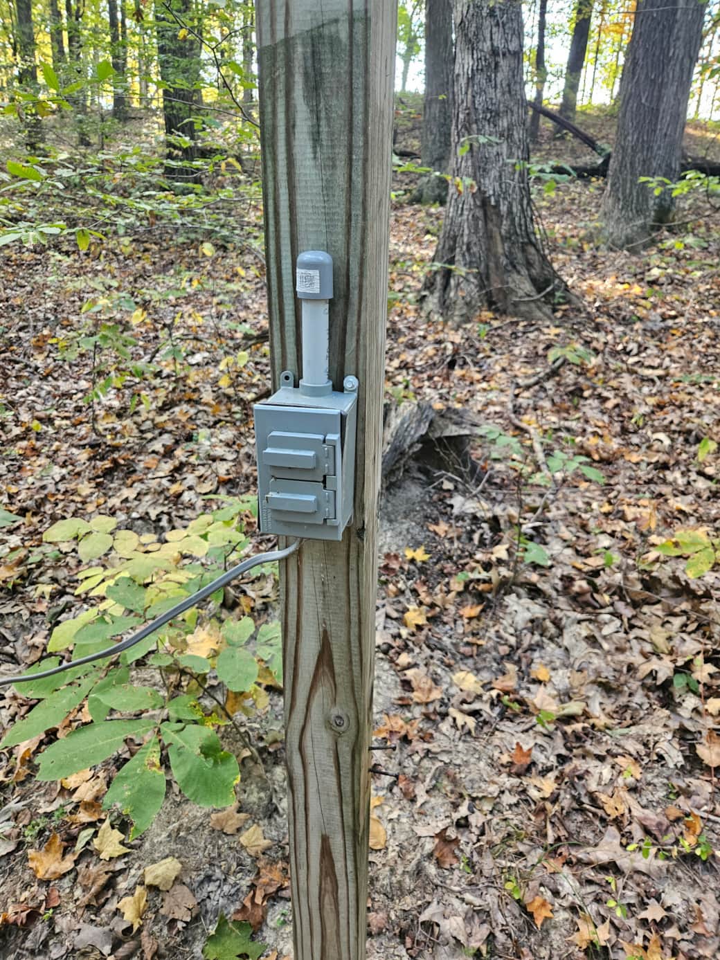 15 Amp Electric 15 Amp Electric