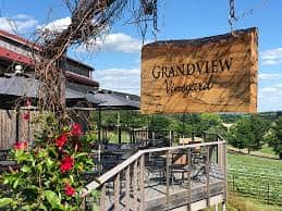 Grandview Vineyard