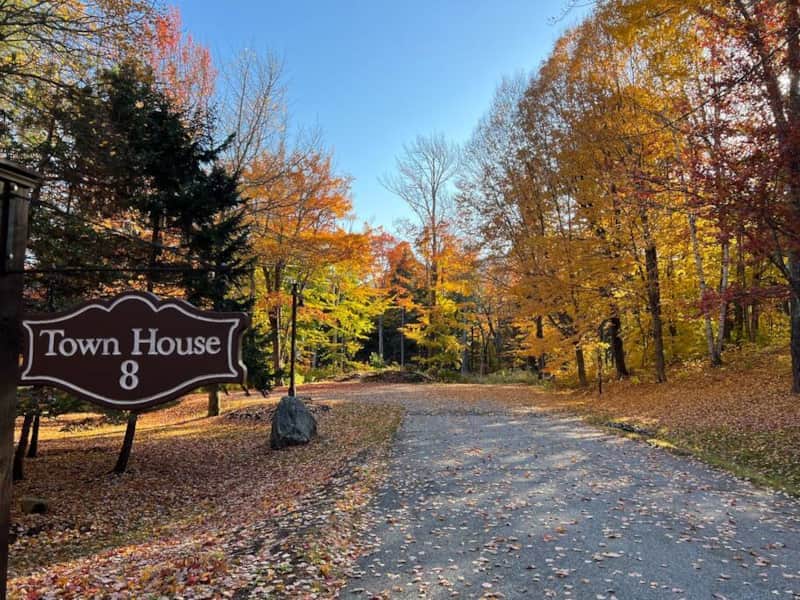 Fall Foliage 