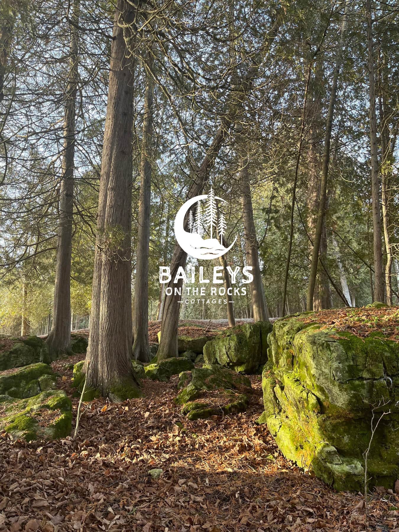 Baileys on the Rocks Vacation Rentals in Baileys Harbor