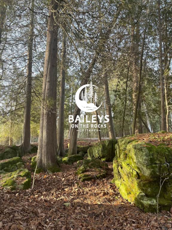 Baileys on the Rocks Vacation Rentals in Baileys Harbor