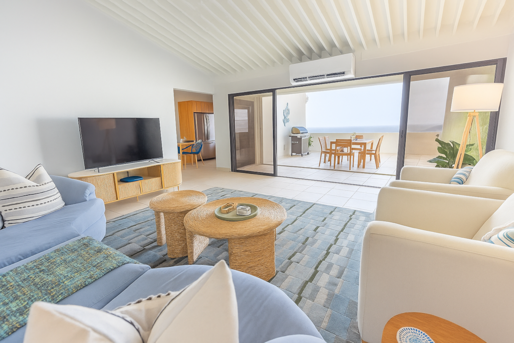 Large Living Room With Rooftop Deck