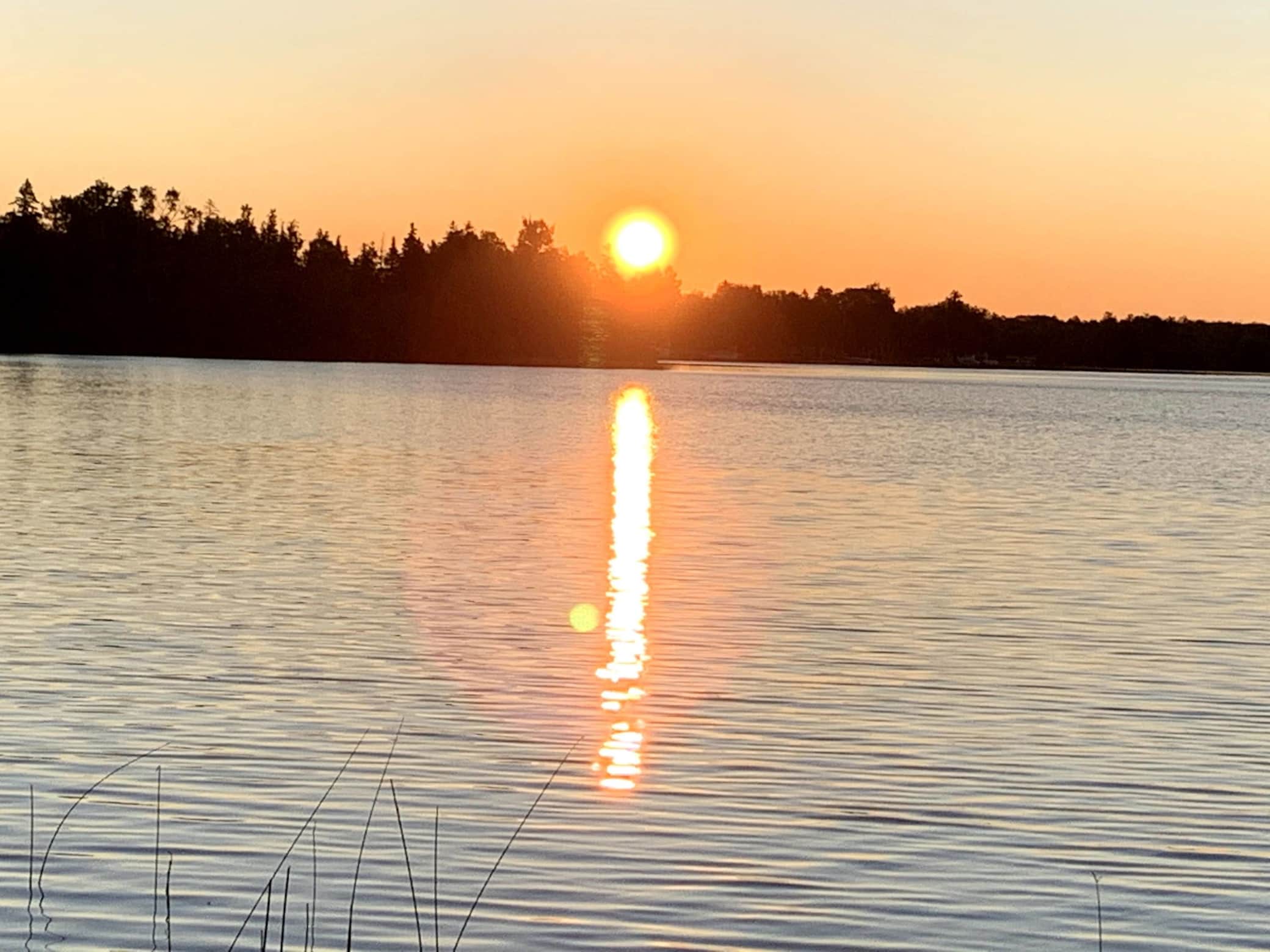 https://l.icdbcdn.com/oh/c16f7225-b1c5-49ca-9bf5-f313a0ce2c62.jpg?w=2080-4
