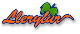 LleryTur - Agencia de Turismo 