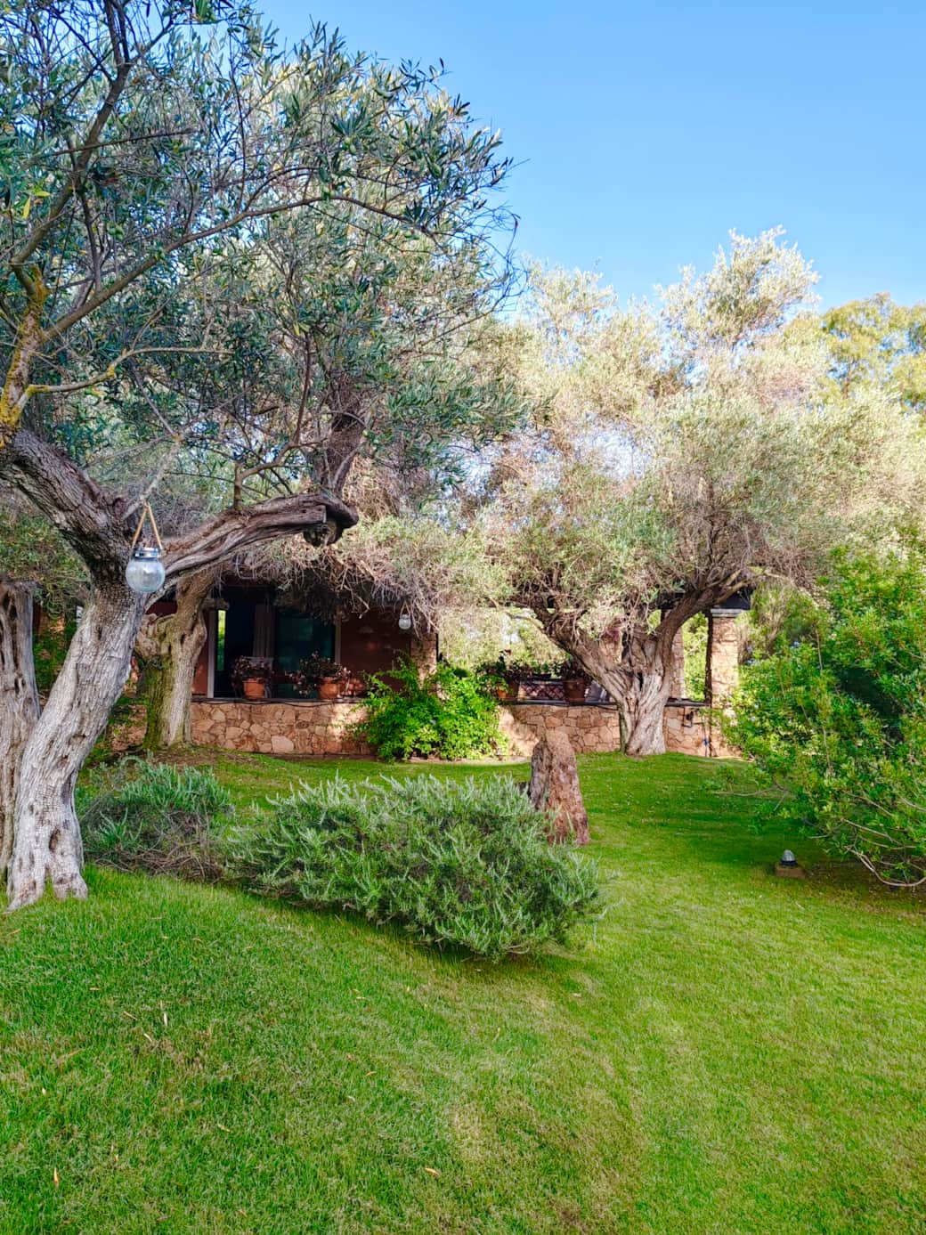 WhatsApp Image 2025-07-12 at 23.14 WhatsApp Image 2025-07-12 at 23.14