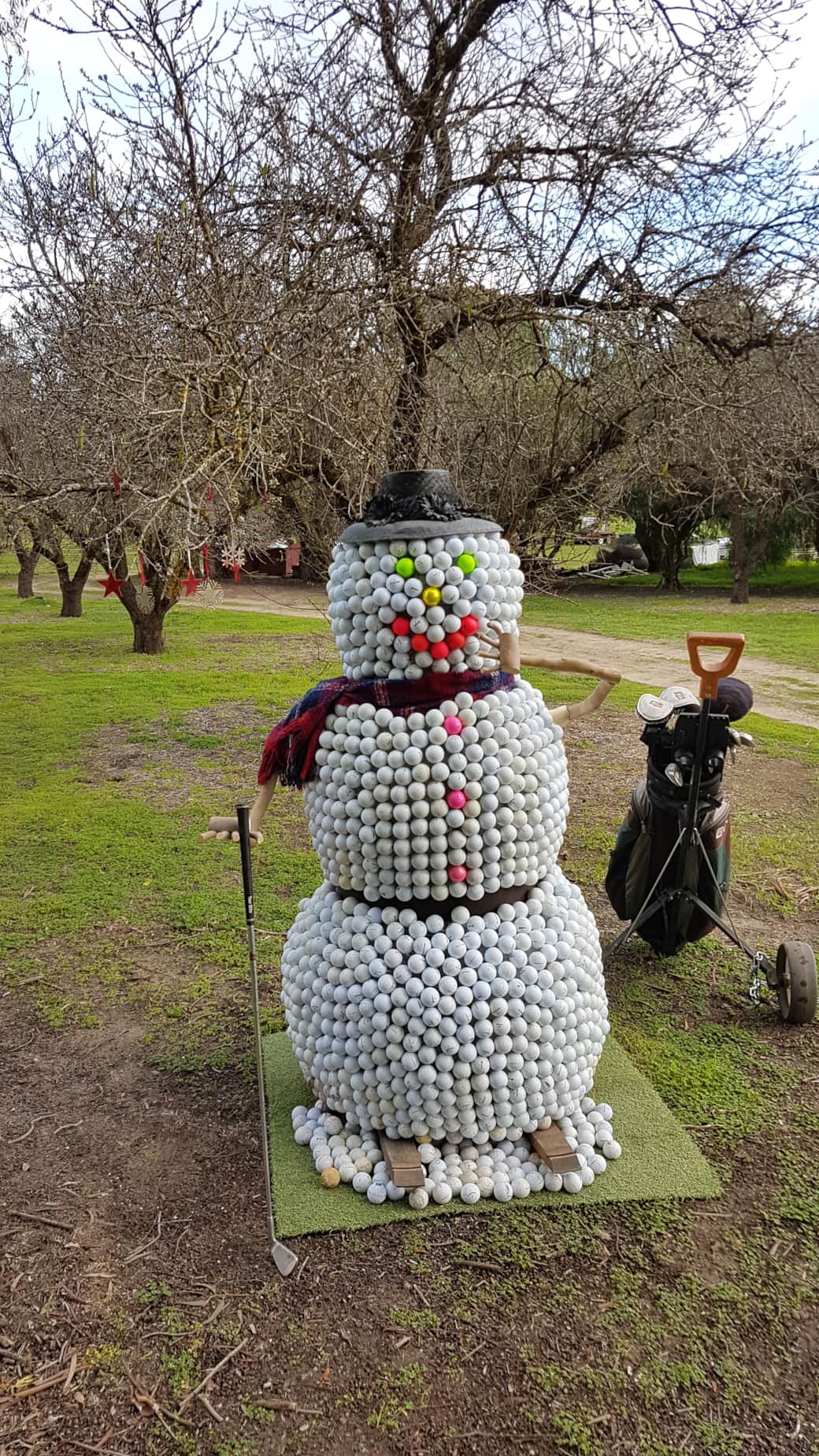 Our lady of perpetual cool