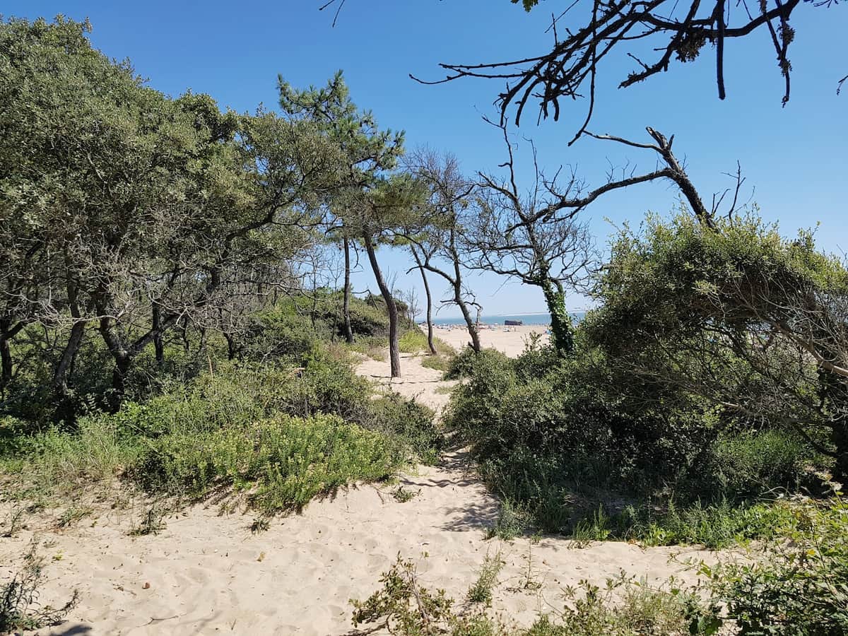 La Côte sauvage