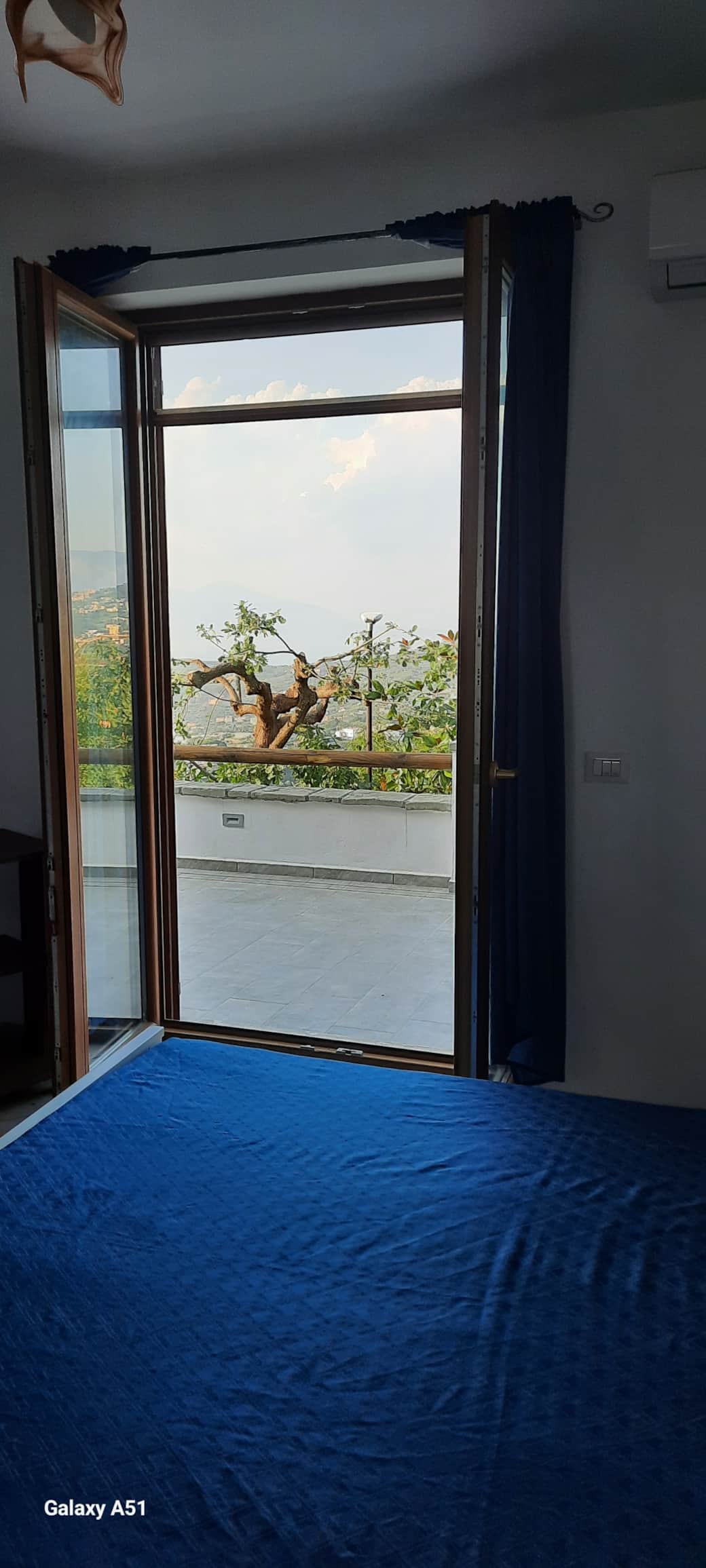 20240725 183825 resized 20240725 183825 resized