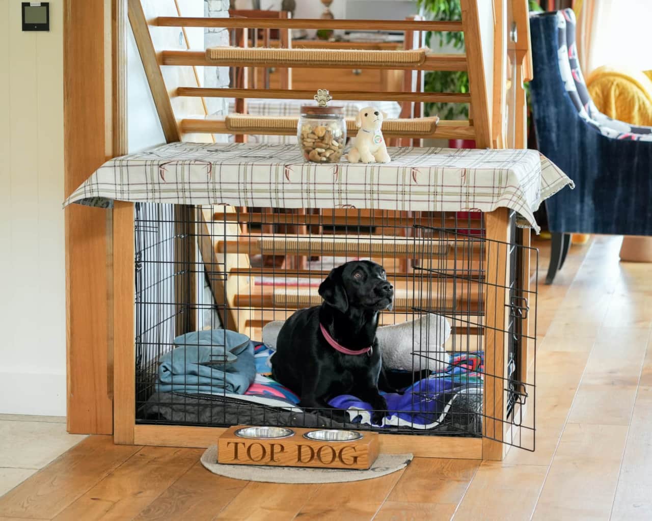 Pet zone