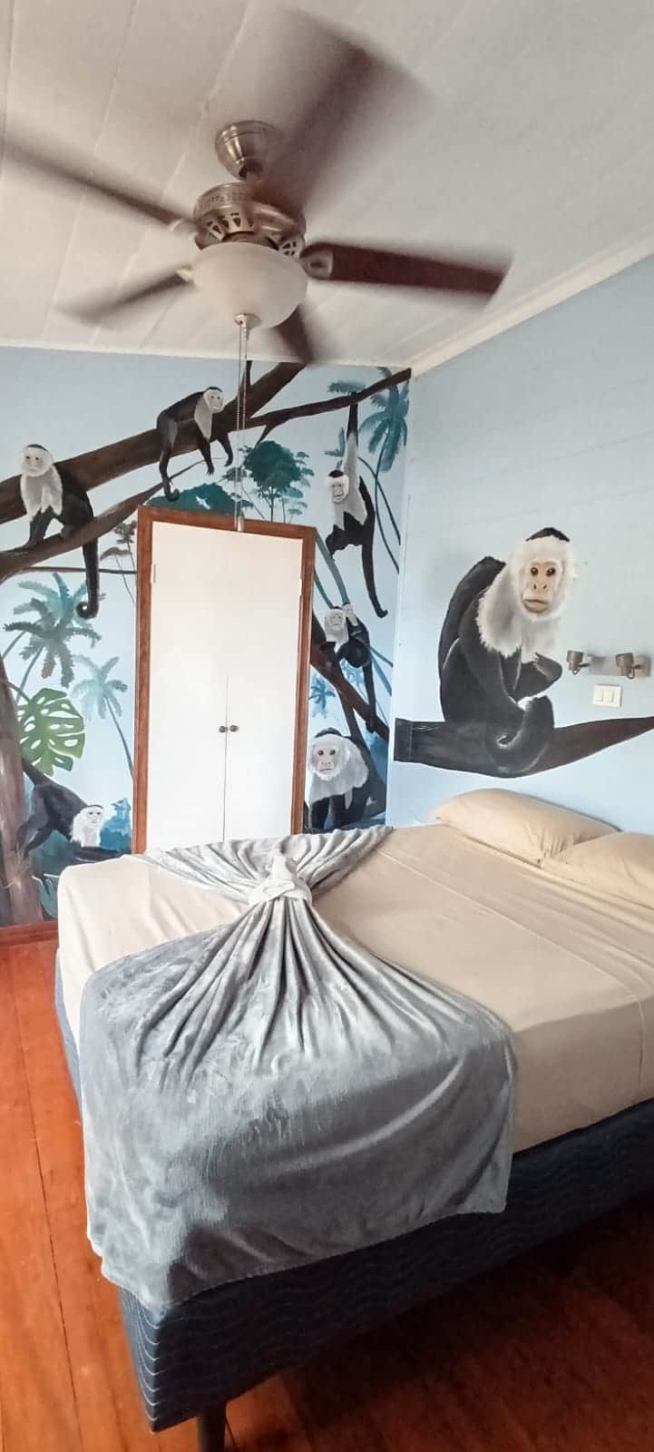 WhatsApp Image 2025-12-13 at 15.05