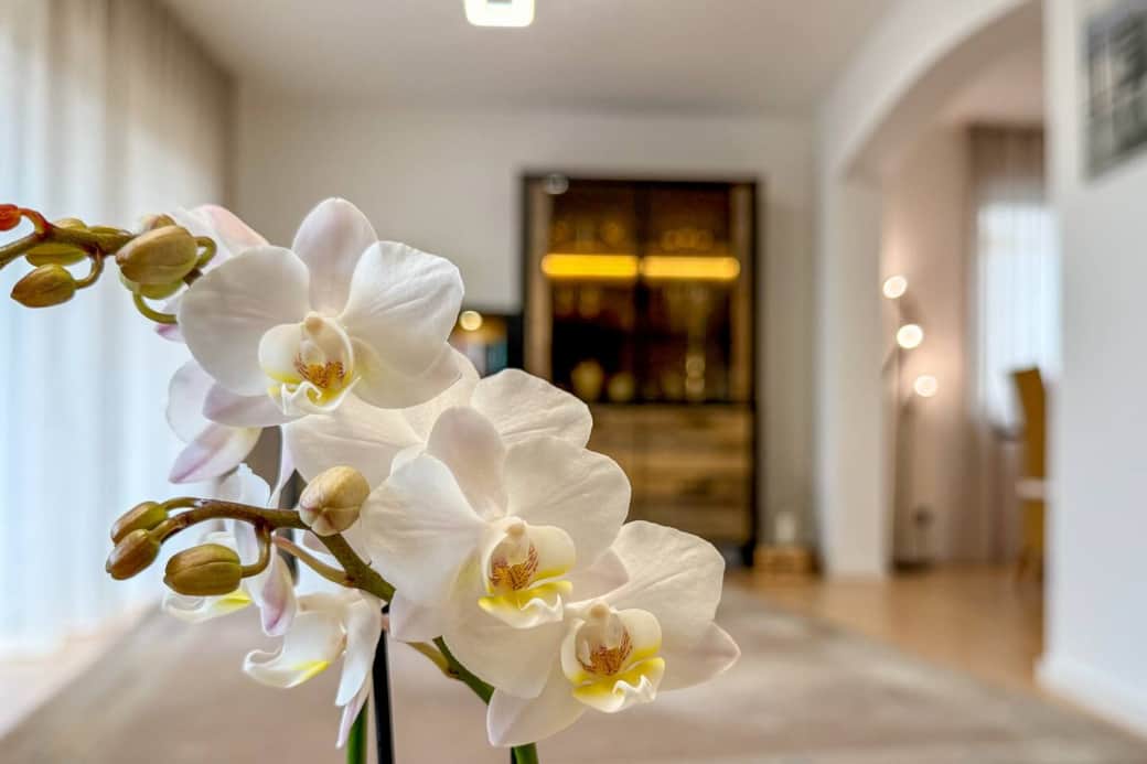 Detailaufnahme Wohnzimmer