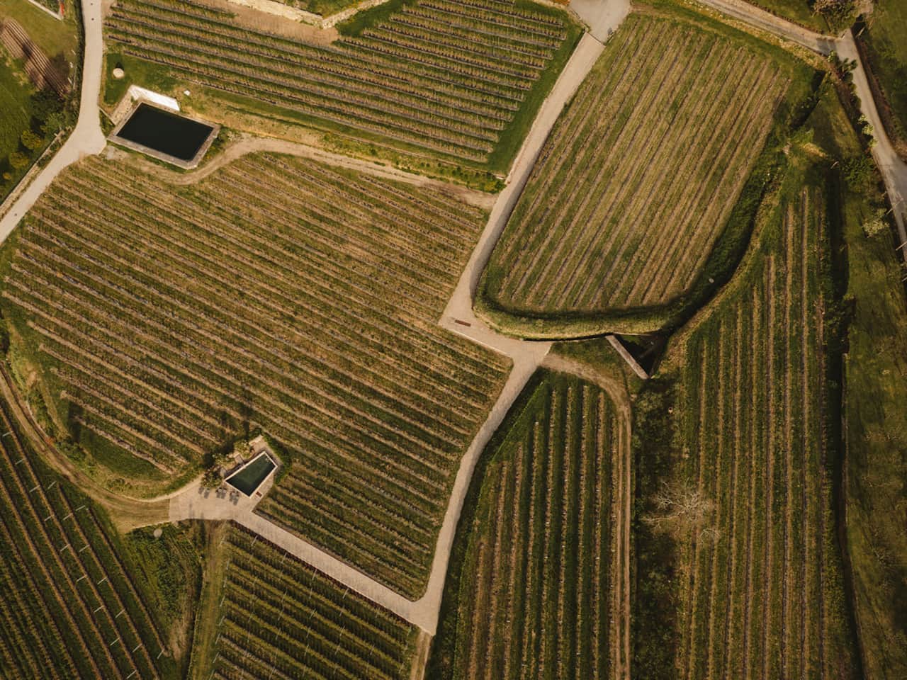DJI_0426.jpg