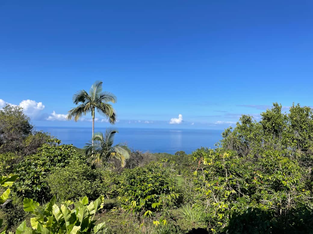 Kona Farm Stay Ocean View