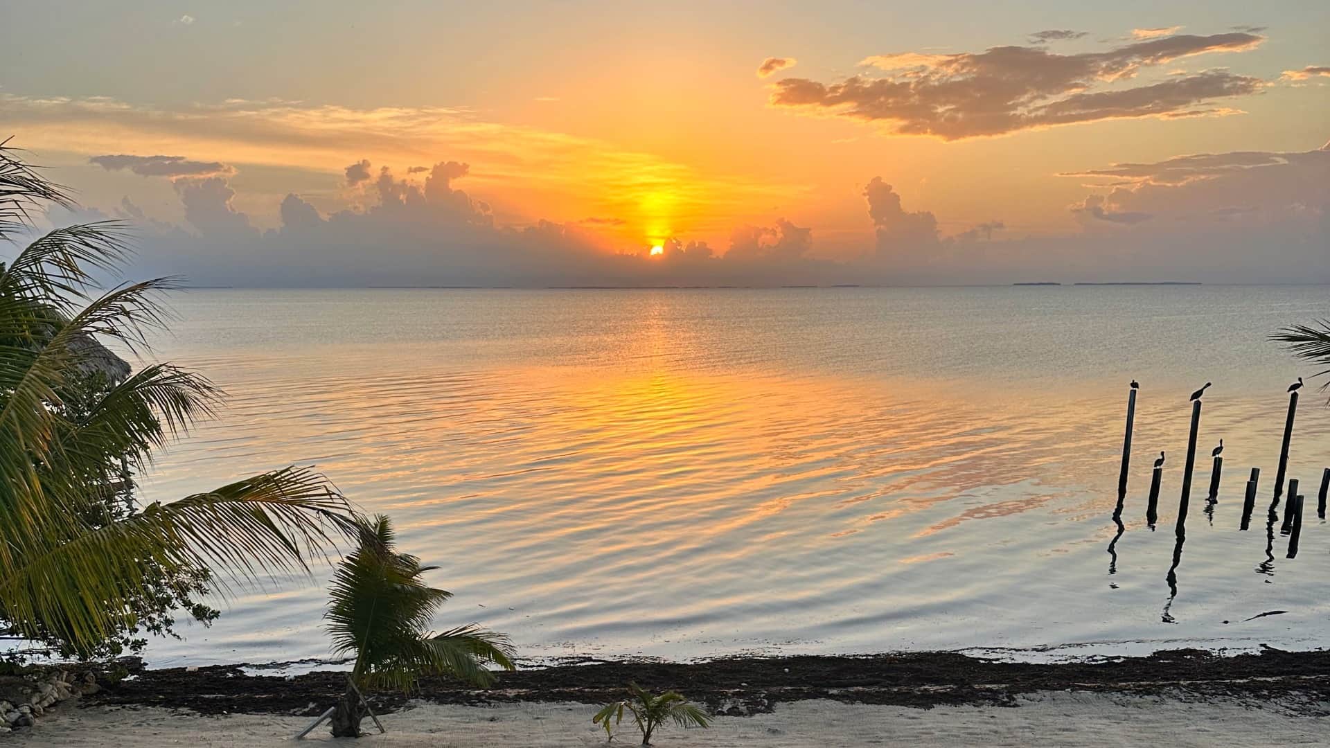 Interior living space