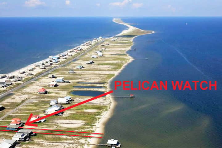 Ariel View with Pelican Watch Labeled