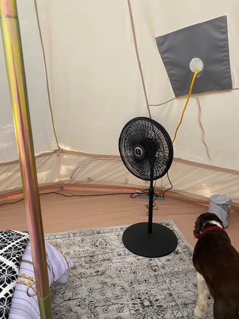 Fan