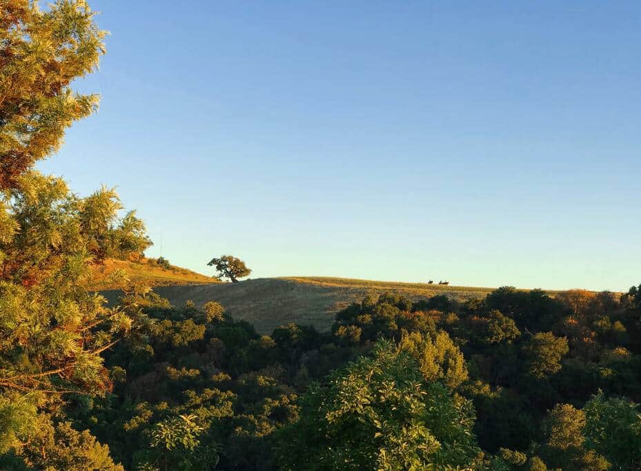 Panoramic views from the deck area