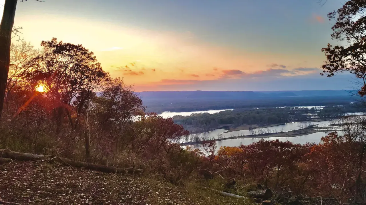 View