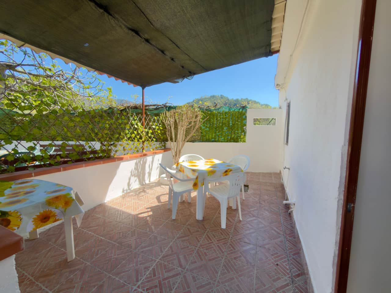 TERRAZZO APPARTAMENTO