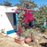 Rental image
