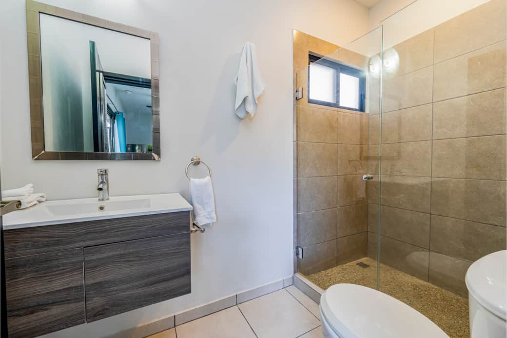 Coconut web -22 Coconut web -22