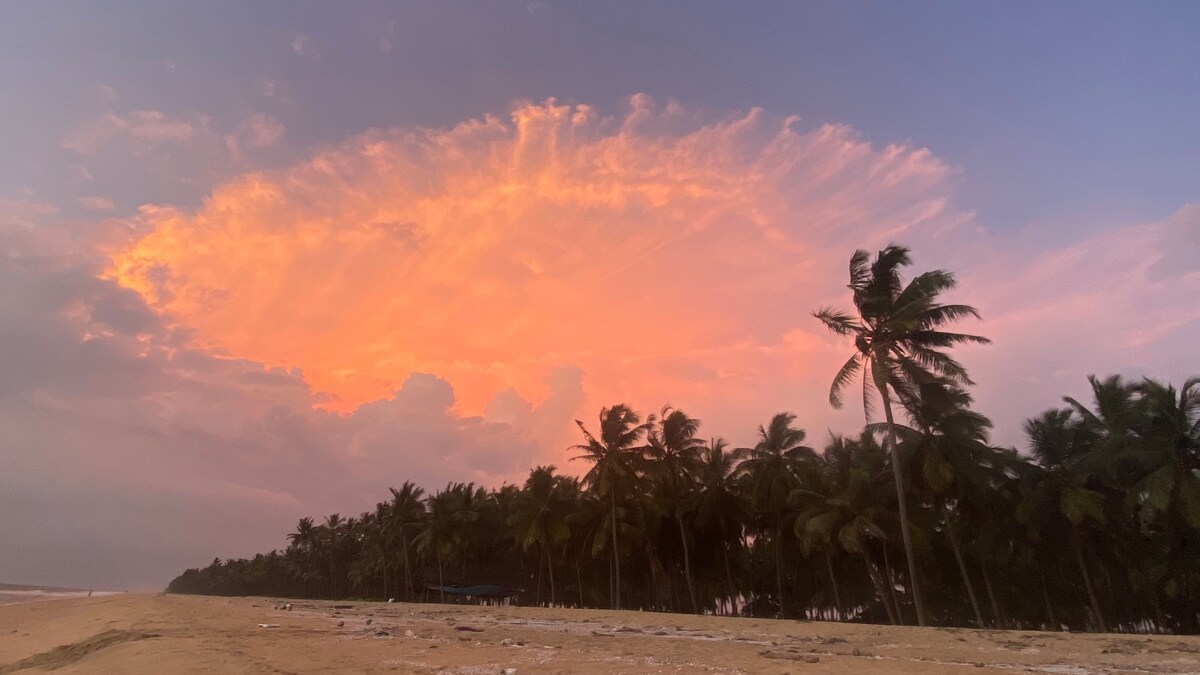 The Matsya House -Island Retreat, photo 39
