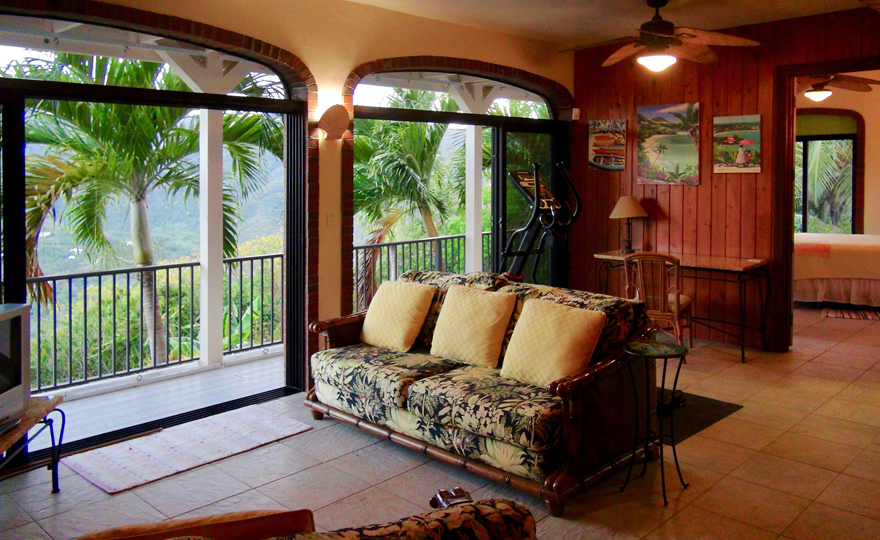 Lower level sitting area