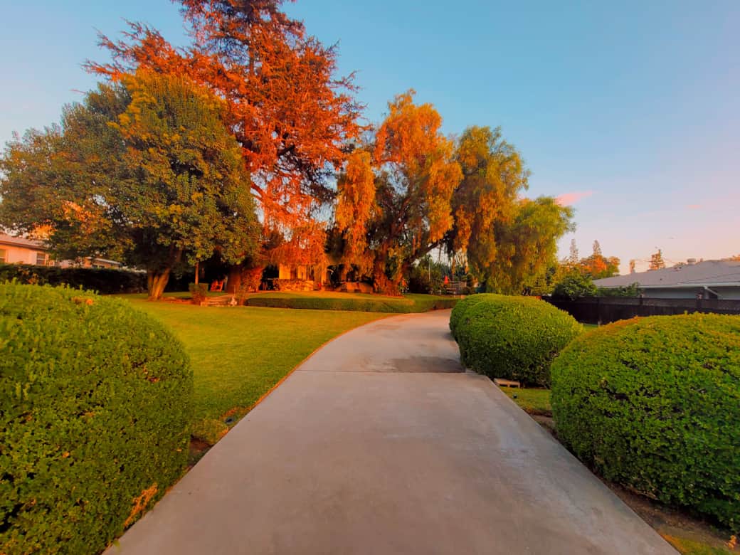Front Exterior Lawn Overview